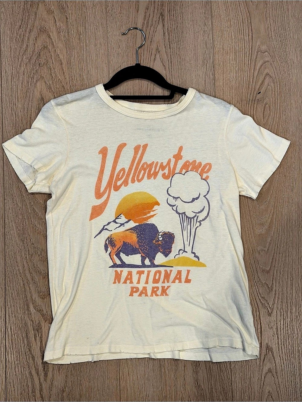Junk Food Clothing Yellowstone National Park Graphic Tee for Anthropologie in Cr